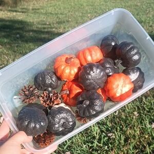 🦝 Foam Pumpkins with Pine Cones